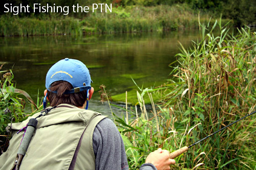Sight-fishing-the-PTN