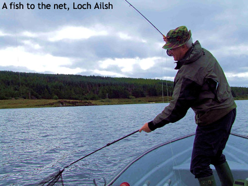A fish to the net, Loch Ailsh
