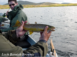Loch_Bornish_Brownie
