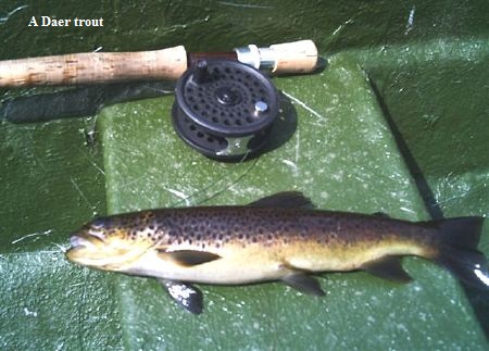 wff-7-27-2012-3-21-05-PM-2006jul191153335051daer trout