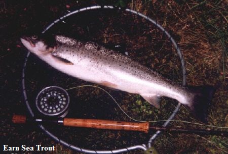 wff-7-31-2012-2-13-35-PM-2007jun161181997592earn-sea-trout