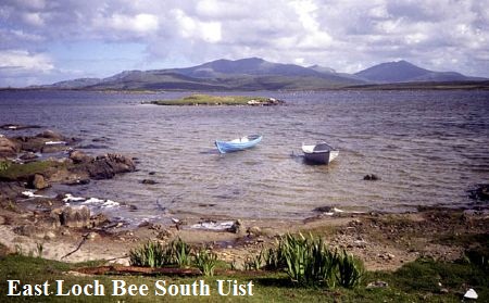 wff-7-26-2012-4-26-45-PM-2006mar111142095212east-loch-bee-south-uist