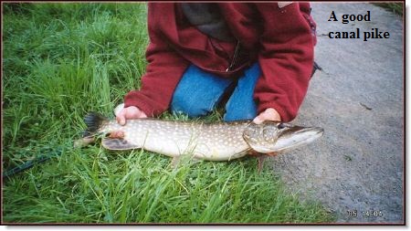 wff-7-27-2012-5-45-38-PM-2006sep301159625564a good canal pike
